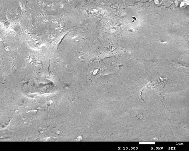 従来の液体シルク SEM画像（加水分解で組織構造が壊れ平滑化した表面）
